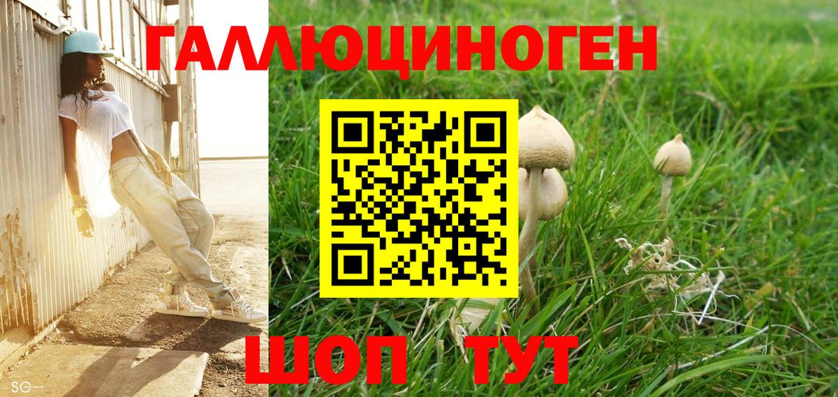 наркотики  Псилоцибиновые грибы Cubensis  Псилоцибиновые грибы Psilocybine cubensis  Вход с VPN  Воткинск 
